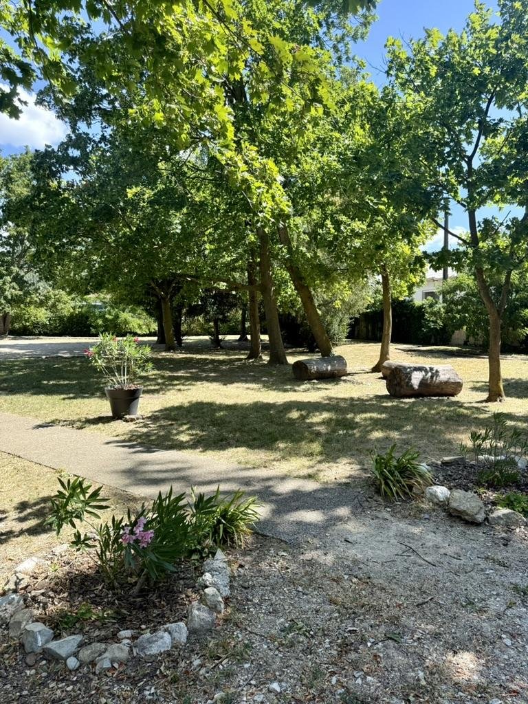 L'allée du parc sous les grands arbres
